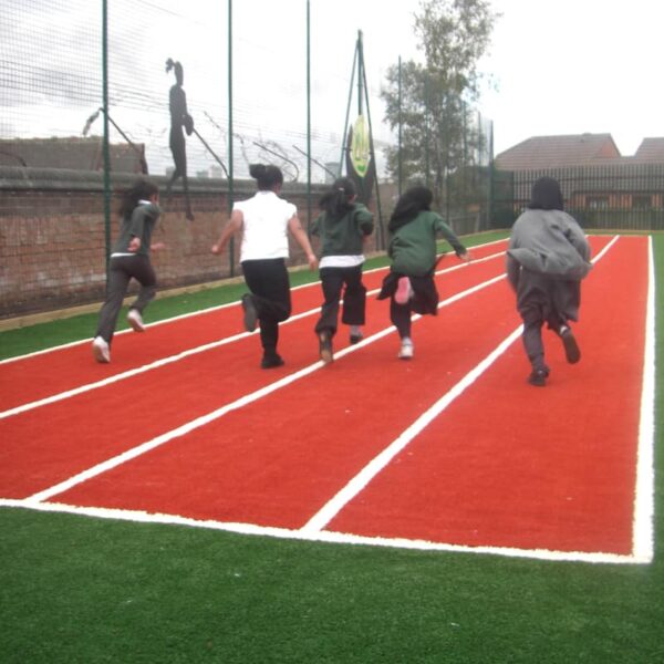 Synthetic Grass