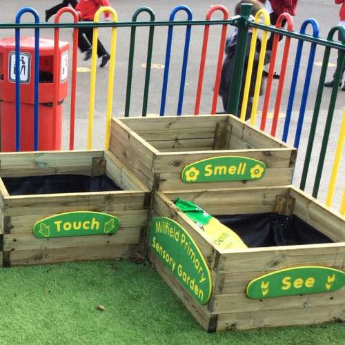 Millfield Primary Sensory Garden