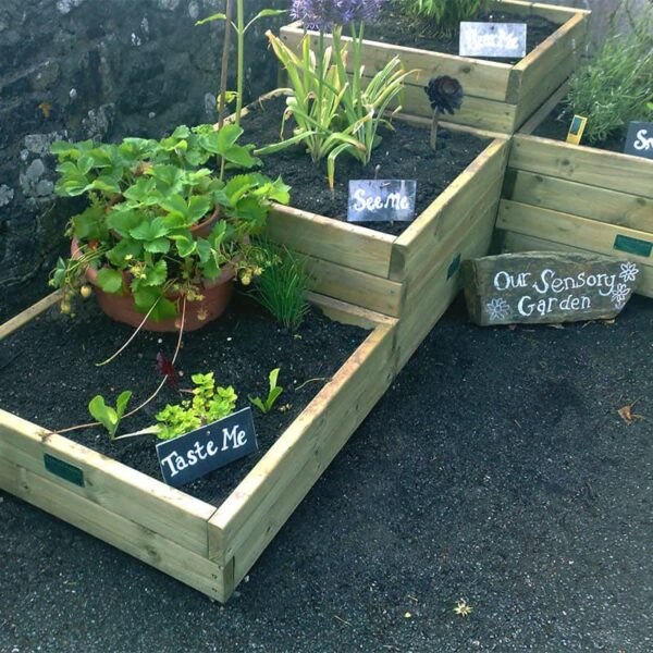 School Sensory Garden Taste and See