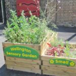 Wellington Primary Sensory Garden