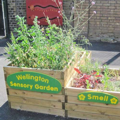 Wellington Primary Sensory Garden