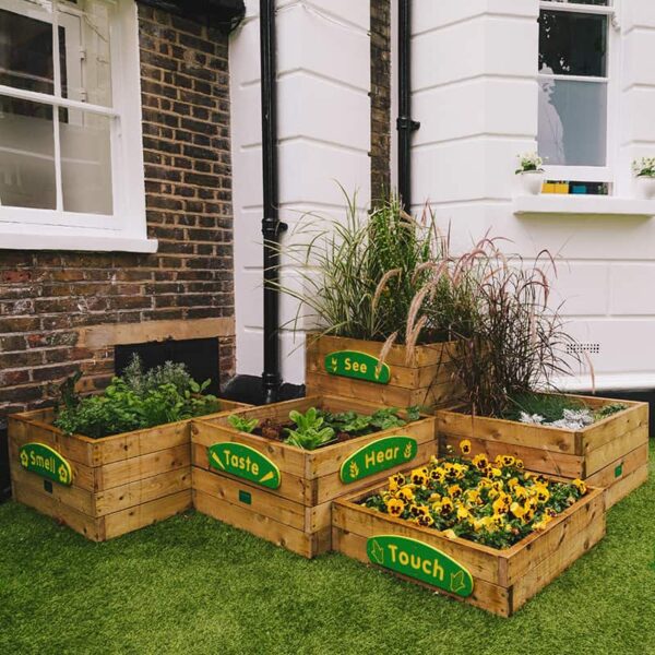 Plant Stax in school playground