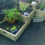 Sensory garden in school playground