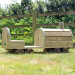 Locomotive On Grass