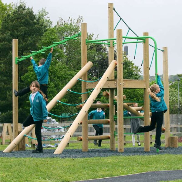 Children playing on treetops three playground equipment