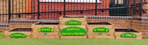 Inspiring Senses With Planter