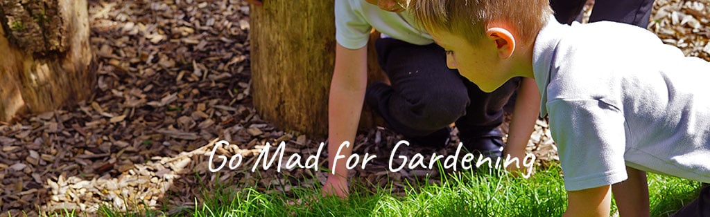 Sensory Play and Learning