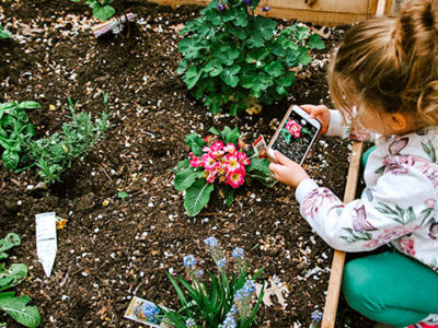 Go Mad For Gardening