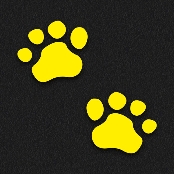 Bear foot prints