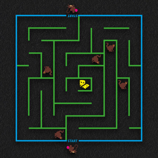 Cat & Mouse Maze