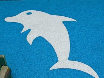 Dolphin Paxton