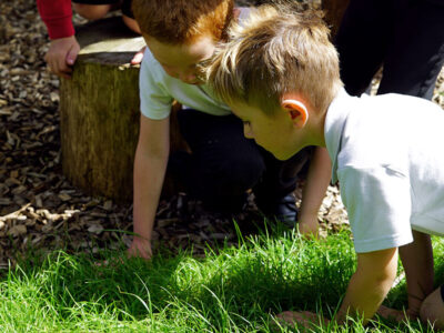 Nature-Play